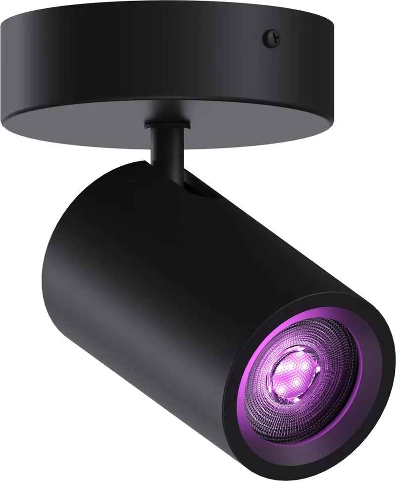 Smart Plafondlamp - 1-Lichts - Slimme Opbouwspot - Rond by Calex in Black – product photo
