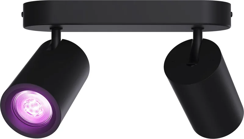 Smart Plafondlamp - 2-Lichts - Slimme Opbouwspot - Ovaal van Calex in Zwart – productfoto