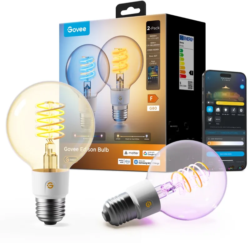 G80 Smart Edison LED Lamp E27 RGBWW Matter 500 lm 2 stuks de Govee – photo produit