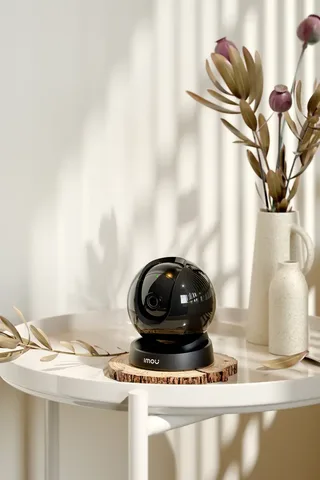 Rex 3D PetCam - Beveiligingscamera - 3K resolutie – 360° dekking - Abnormale geluidsdetectie – Twee-weg communicatie - 3 Jaar Garantie van Imou in Zwart – productfoto 2 van 3