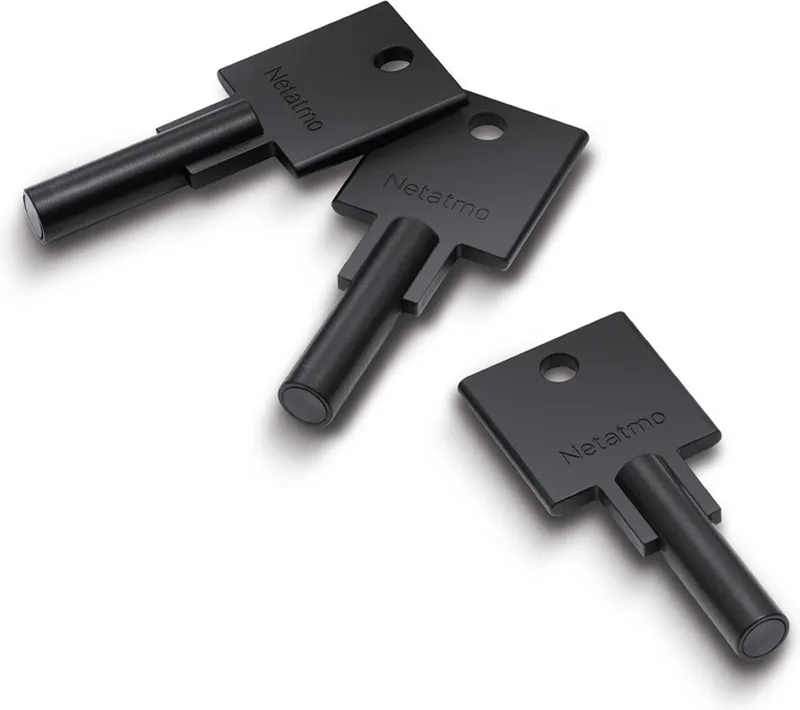 Elektrisch deurslot - Slimme Sleutels - 3 sleutels - NFC-sleutel by Netatmo in Silver – product photo