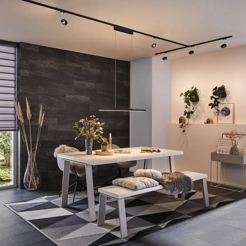 URail Lento LED hanglamp ZigBee CCT van Paulmann in Zwart – productfoto