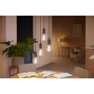 filament globelamp G93 - warm tot koelwit licht - 1-pack - E27 van Philips Hue – productfoto 5 van 6