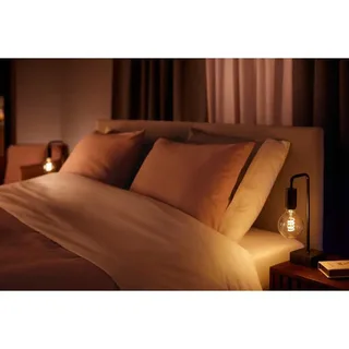 filament globelamp G93 - warm tot koelwit licht - 1-pack - E27 van Philips Hue – productfoto 6 van 6