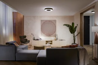 Infuse plafondlamp - wit en gekleurd licht - 42cm de Philips Hue en Noir – photo produit 2 sur 5