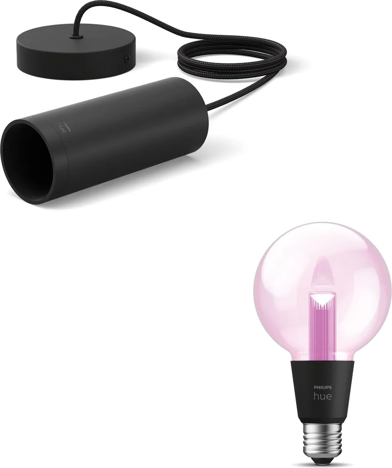 Lightguide Hanglamp - E27 - Wit en Gekleurd Licht - Incl. 1 Hue Lightguide Globe Lamp Klein (G95) - Hue White and Color Ambiance van Philips Hue in Zwart – productfoto