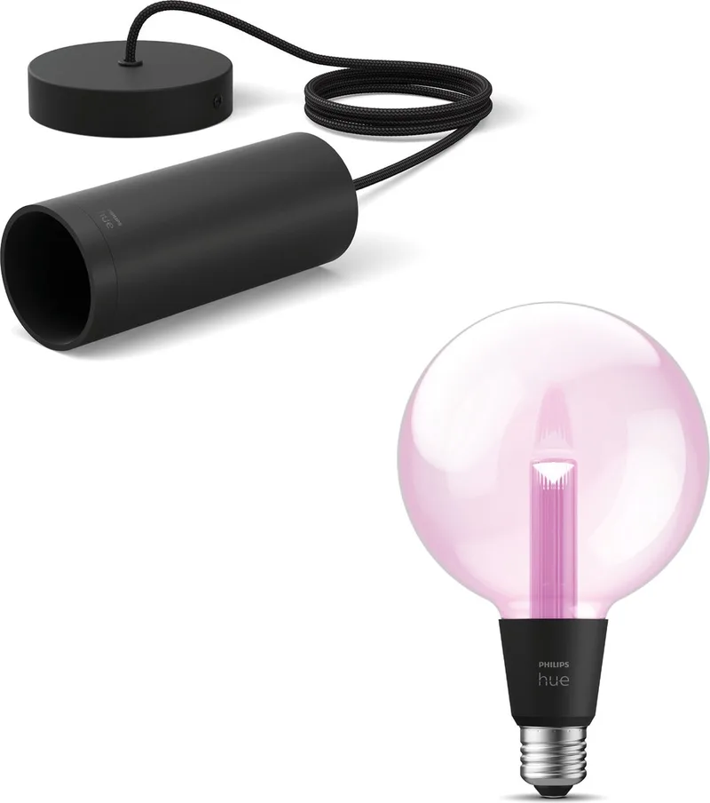 Lightguide Hanglamp - E27 - Wit en Gekleurd Licht - Incl. 1 Hue Lightguide Globe Lamp Groot (G125) - Hue White and Color Ambiance van Philips Hue in Zwart – productfoto