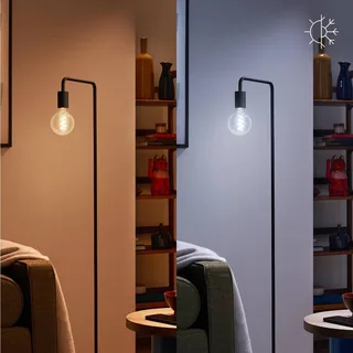 G95 LED filament lamp Globe WiFi E27 6,3W RGBW von WiZ – Produktfoto 5 von 5