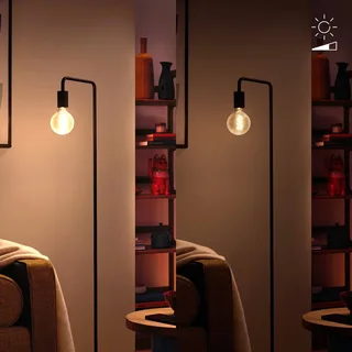 G95 LED filament lamp Globe WiFi E27 6,3W RGBW von WiZ – Produktfoto 2 von 5