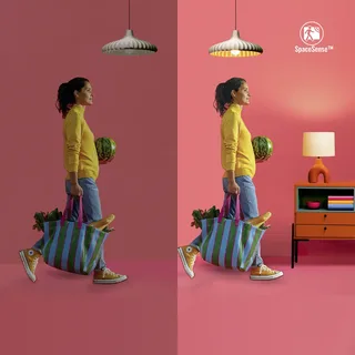 LED strip - 4 meter - RGB+W - Makkelijke installatie - Gekleurd en Licht - Wi-Fi - RGB+W; één kleur tegelijk van WiZ in Wit – productfoto 2 van 3