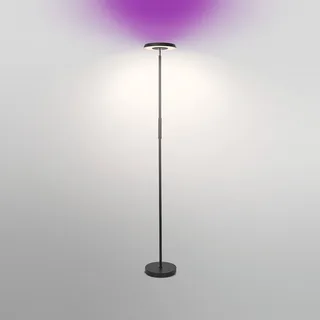 WiFi LED vloerlamp, up/down, RGB CCT van OSRAM SMART+ in Zwart – productfoto 3 van 4