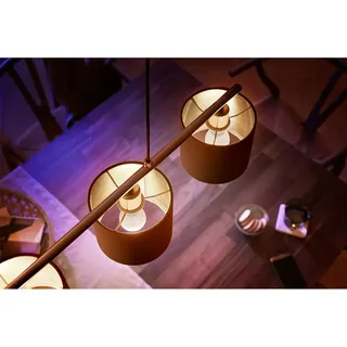 Außen-Wandleuchte Hue LED Lampe E14 2er Set 5,7W 470lm Luster van Philips Hue in Wit – productfoto 3 van 4
