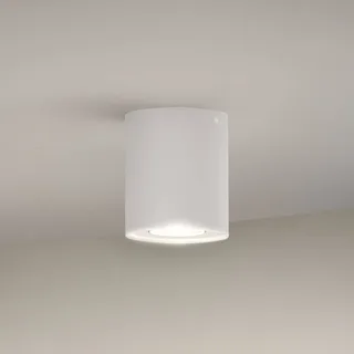 Downlight Pillar, verstelbaar, GU10 de Philips Hue en Blanc – photo produit 1 sur 4