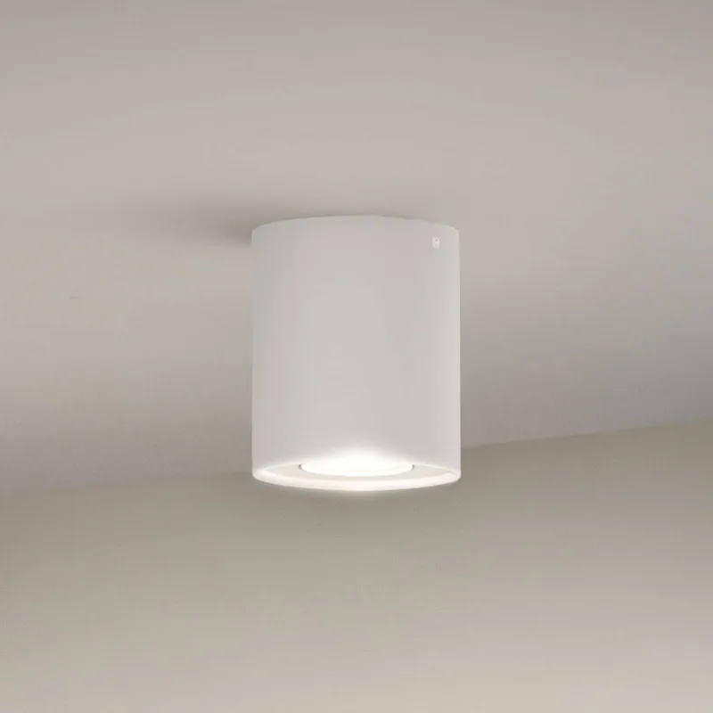 Downlight Pillar, verstelbaar, GU10 de Philips Hue en Blanc – photo produit 1 sur 4