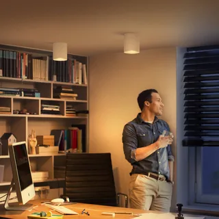 Downlight Pillar, verstelbaar, GU10 de Philips Hue en Blanc – photo produit 3 sur 4