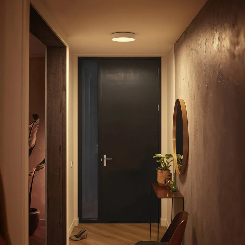 Enrave LED plafondlamp 26,1cm van Philips Hue in Wit – productfoto 1 van 5