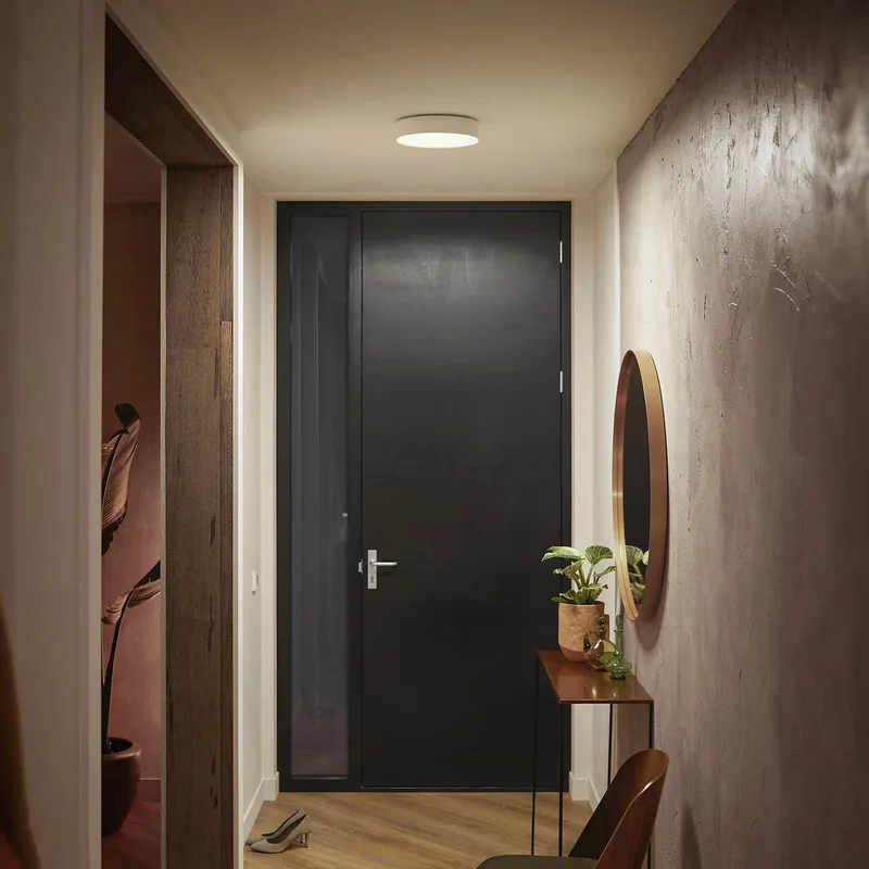 Enrave LED plafondlamp 26,1cm van Philips Hue in Wit – productfoto 2 van 5