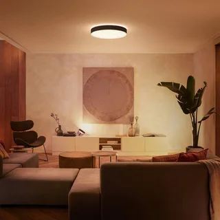 Enrave LED plafondlamp 55,1cm van Philips Hue in Zwart – productfoto 2 van 5
