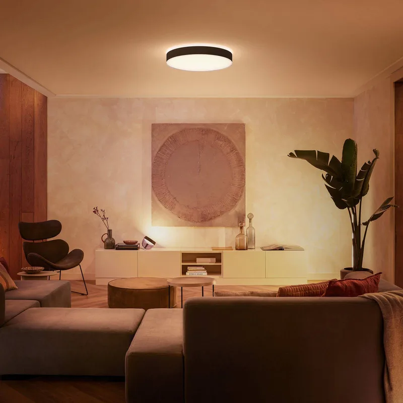 Enrave LED plafondlamp 55,1cm van Philips Hue in Zwart – productfoto 2 van 5