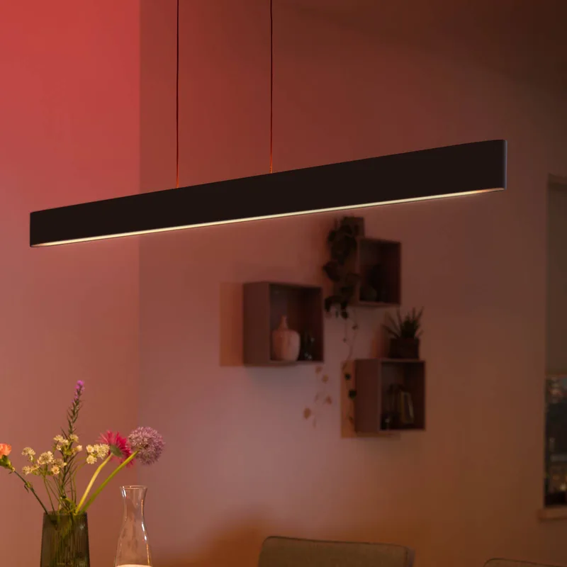 Ensis hanglamp, WACA fra Philips Hue i Sort – produktbillede 5 af 5