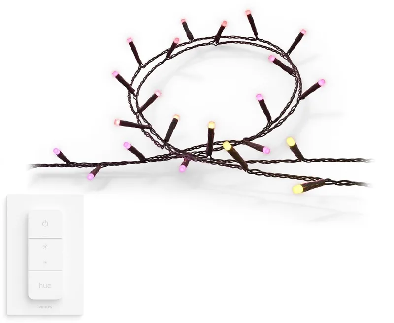 Festavia Lichtslinger 500 LEDS - 40 meter - Wit en Gekleurd Licht - Incl. Hue Dimmer Switch - Hue White and Color Ambiance by Philips Hue – product photo