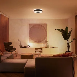 Infuse LED plafondlamp, 38,1 cm, dimbaar. van Philips Hue in Zwart – productfoto 3 van 5