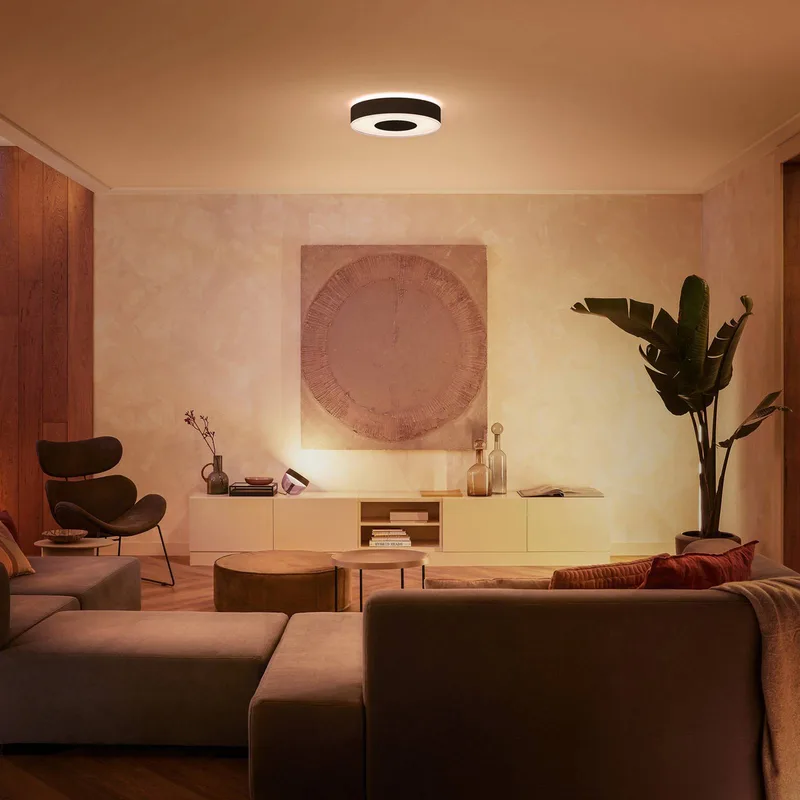 Infuse LED plafondlamp, 38,1 cm, dimbaar. van Philips Hue in Zwart – productfoto 3 van 5