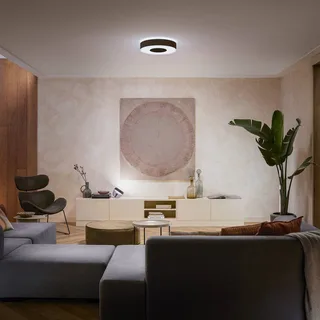 Infuse LED plafondlamp, 38,1 cm, dimbaar. van Philips Hue in Zwart – productfoto 2 van 5