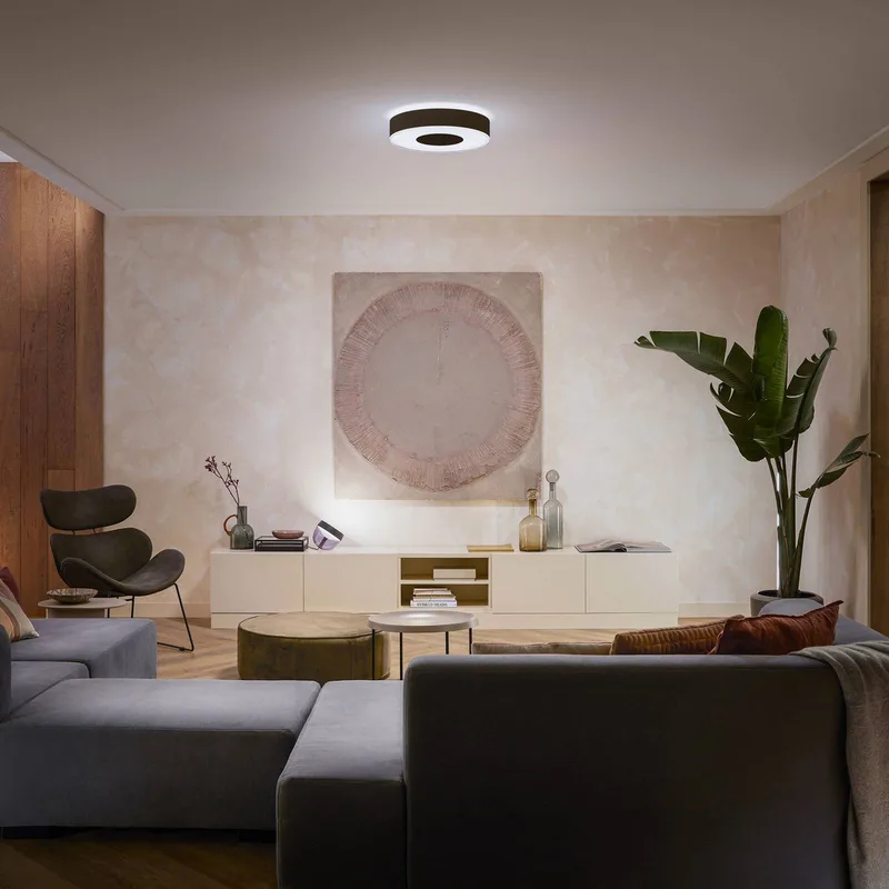 Infuse LED plafondlamp, 38,1 cm, dimbaar. van Philips Hue in Zwart – productfoto 2 van 5