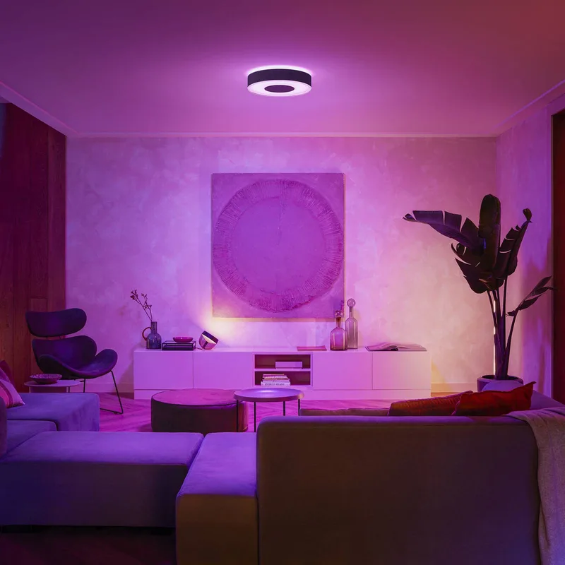 Infuse LED plafondlamp, 38,1 cm, dimbaar. van Philips Hue in Zwart – productfoto 4 van 5