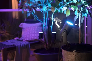 LED Gartenstrahler White & Color Ambiance Lily Spot 1 flg. Erweiterung, Abschaltautomatik, Bluetooth, CCT - über Fernbedienung, Dimmfunktion, Farbsteuerung, Farbwechsel, Leuchtdauer einstellbar, Memoryfunktion, Nachtlichtfunktion, RGB, Smart Home, Timerfunktion, dimmbar über Fern de Philips Hue en Noir – photo produit 2 sur 5
