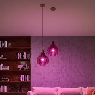 LED lamp 2x E27 8,1 W CCT RGB Bridge Pro van Philips Hue – productfoto 2 van 4