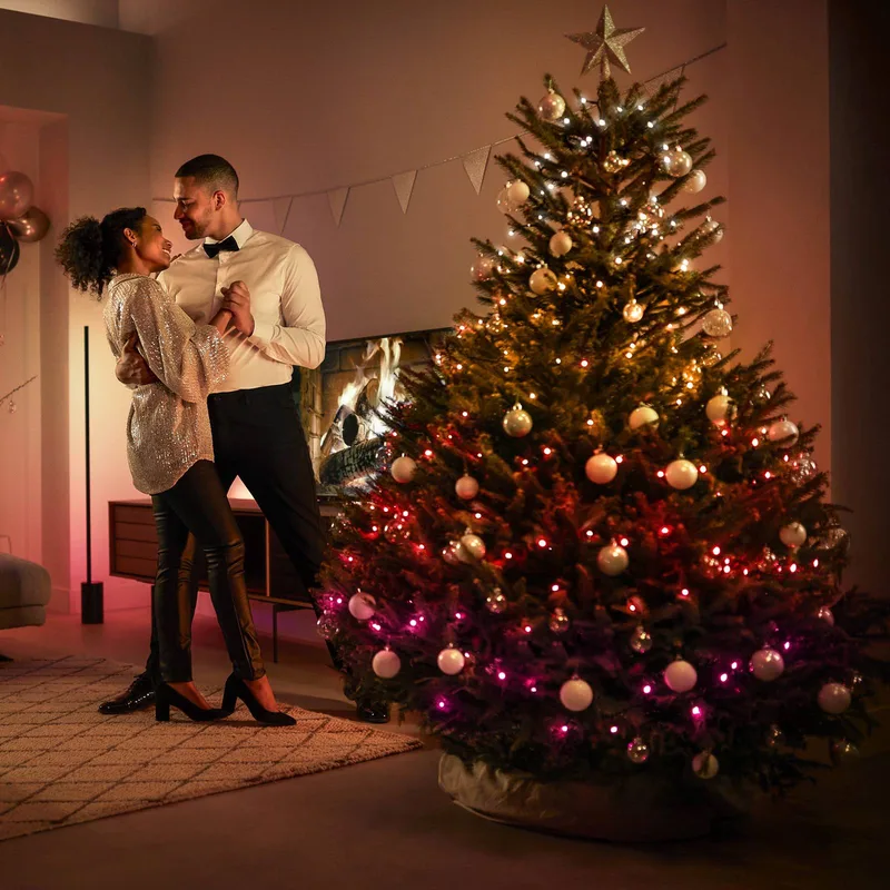 LED lichtketting, CCT RGB 40m van Philips Hue in Zwart, Wit – productfoto 1 van 5