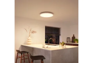 LED Panel White & Color Ambiance Devote Panelleuchte rund, 43 cm, Abschaltautomatik, Bluetooth, CCT - über Fernbedienung, Dimmfunktion, Farbsteuerung, Farbwechsel, Leuchtdauer einstellbar, Memoryfunktion, Nachtlichtfunktion, RGB, Smart Home, Timerfunktion, dimmbar über Fernbedienung, erw de Philips Hue en Blanc – photo produit 2 sur 5