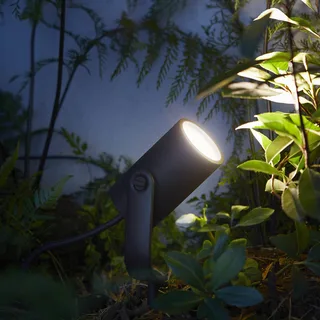 LED spot Lily, set van 3, bridge, RGB, CCT, IP65 från Philips Hue i Svart – produktbild 2 av 5