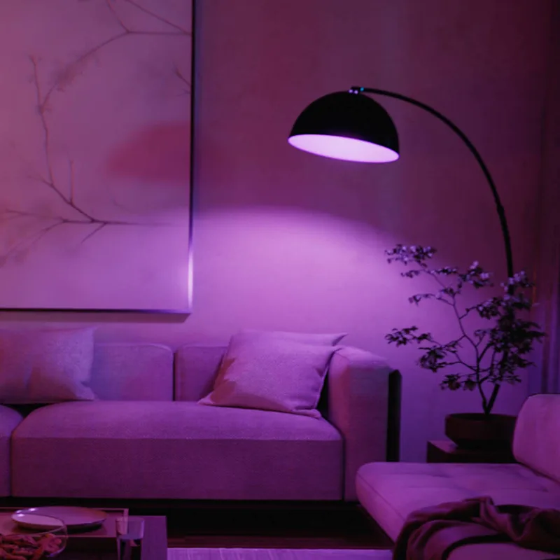 WACA Smart E27 LED 8,1 W 1100 lm CCT RGB set van 2 by Philips Hue – product photo 2 of 5