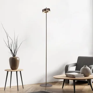 Paul Neuhaus LED vloerlamp Q-Rotate donkerbruin 140 cm by Q-Smart-Home in Donkerbruin metallic – product photo 1 of 5