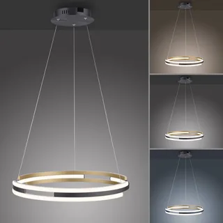 Paul Neuhaus Q-Beluga LED hanglamp, messing van Q-Smart-Home in Messing mat, Antraciet – productfoto 4 van 4