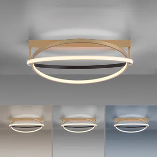 Paul Neuhaus Q-Beluga LED plafondlamp, messing van Q-Smart-Home in Mat messing – productfoto 5 van 5