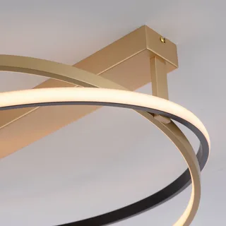 Paul Neuhaus Q-Beluga LED plafondlamp, messing van Q-Smart-Home in Mat messing – productfoto 4 van 5
