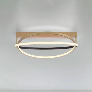 Paul Neuhaus Q-Beluga LED plafondlamp, messing van Q-Smart-Home in Mat messing – productfoto 1 van 5