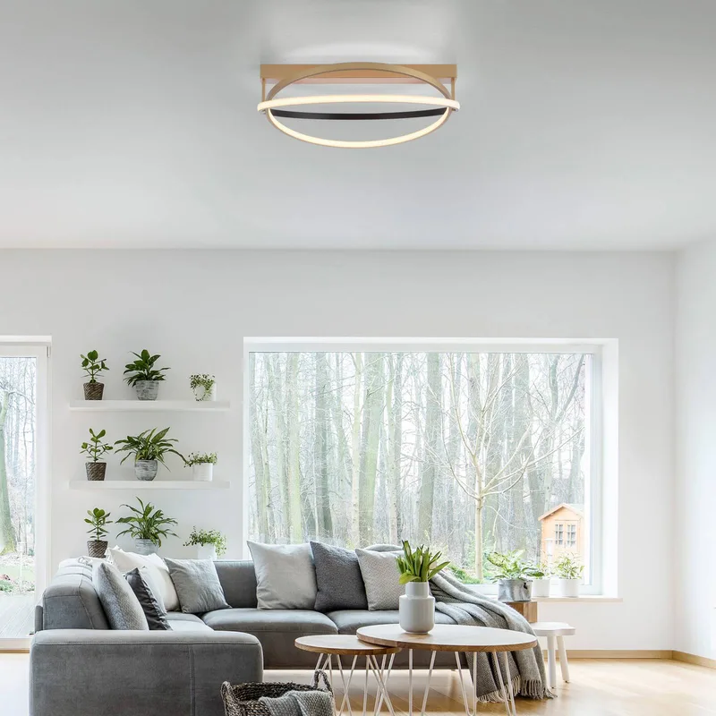 Paul Neuhaus Q-Beluga LED plafondlamp, messing van Q-Smart-Home in Mat messing – productfoto 2 van 5