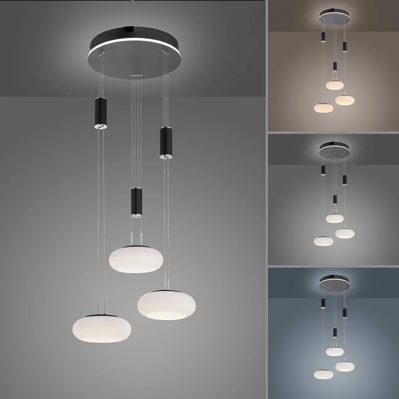 Paul Neuhaus Q-ETIENNE hanglamp rondel, zwart van Q-Smart-Home in Zwart, Wit – productfoto 4 van 5
