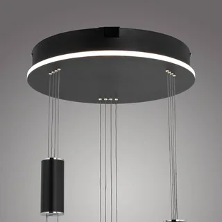 Paul Neuhaus Q-ETIENNE hanglamp rondel, zwart van Q-Smart-Home in Zwart, Wit – productfoto 5 van 5