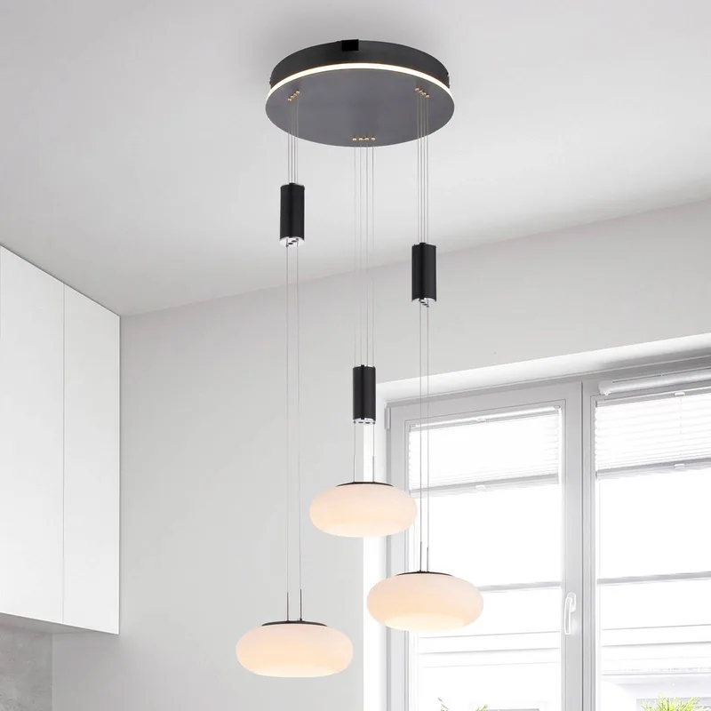 Paul Neuhaus Q-ETIENNE hanglamp rondel, zwart van Q-Smart-Home in Zwart, Wit – productfoto 1 van 5