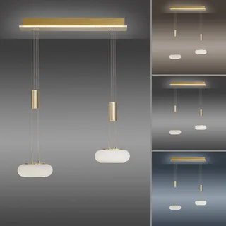 Paul Neuhaus Q-ETIENNE LED-hänglampa 2 lampor från Q-Smart-Home i Mat messing, Vit – produktbild 4 av 5