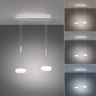 Paul Neuhaus Q-ETIENNE LED hanglamp, 2-lamps van Q-Smart-Home in Zilver, Wit – productfoto 3 van 5