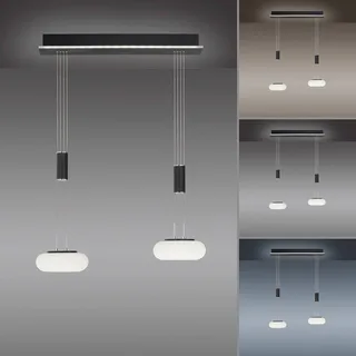 Paul Neuhaus Q-ETIENNE LED-hänglampa 2 lampor från Q-Smart-Home i Svart, Vit – produktbild 5 av 5