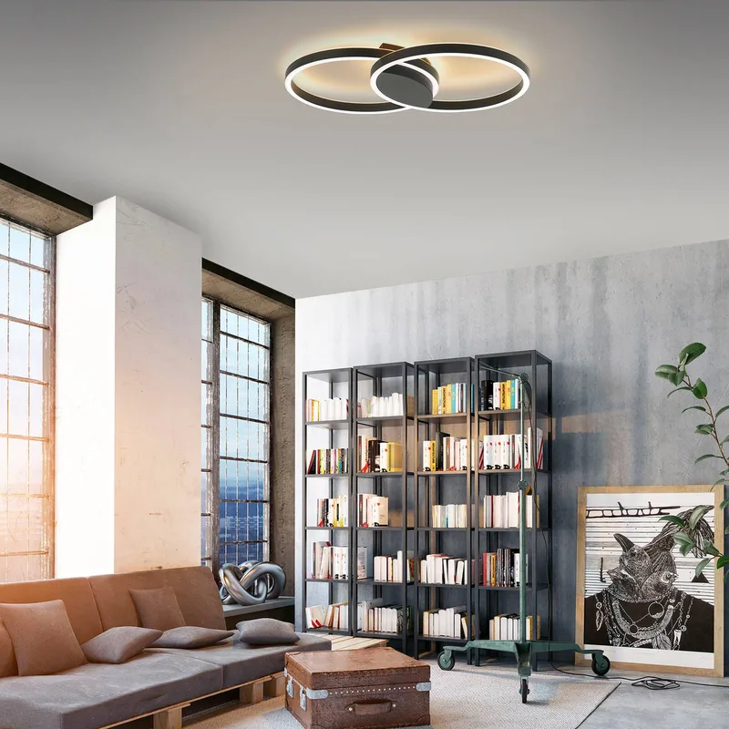 Paul Neuhaus Q-MARKO LED plafondlamp, 2-lamps rond från Q-Smart-Home i Svart, Vit – produktbild 2 av 5