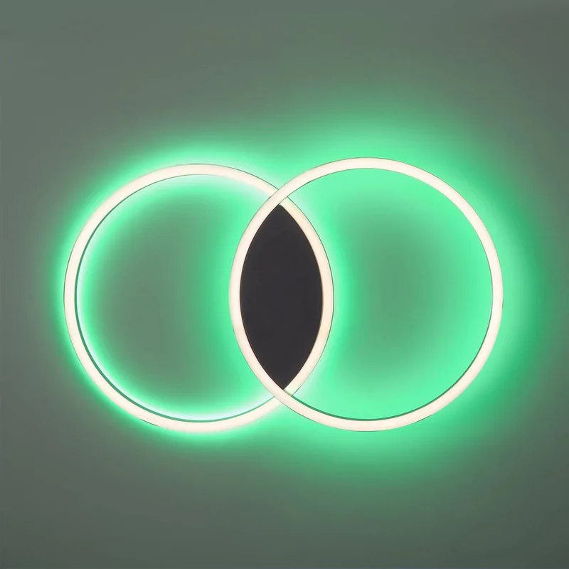 Paul Neuhaus Q-MARKO LED plafondlamp, 2-lamps rond från Q-Smart-Home i Svart, Vit – produktbild 4 av 5